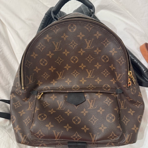 Louis Vuitton Palm Springs MM Backpack - Picture 1 of 9